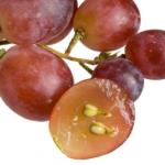 Weintrauben enthalten die meisten Polyphenole – Warum ist das wichtig?
